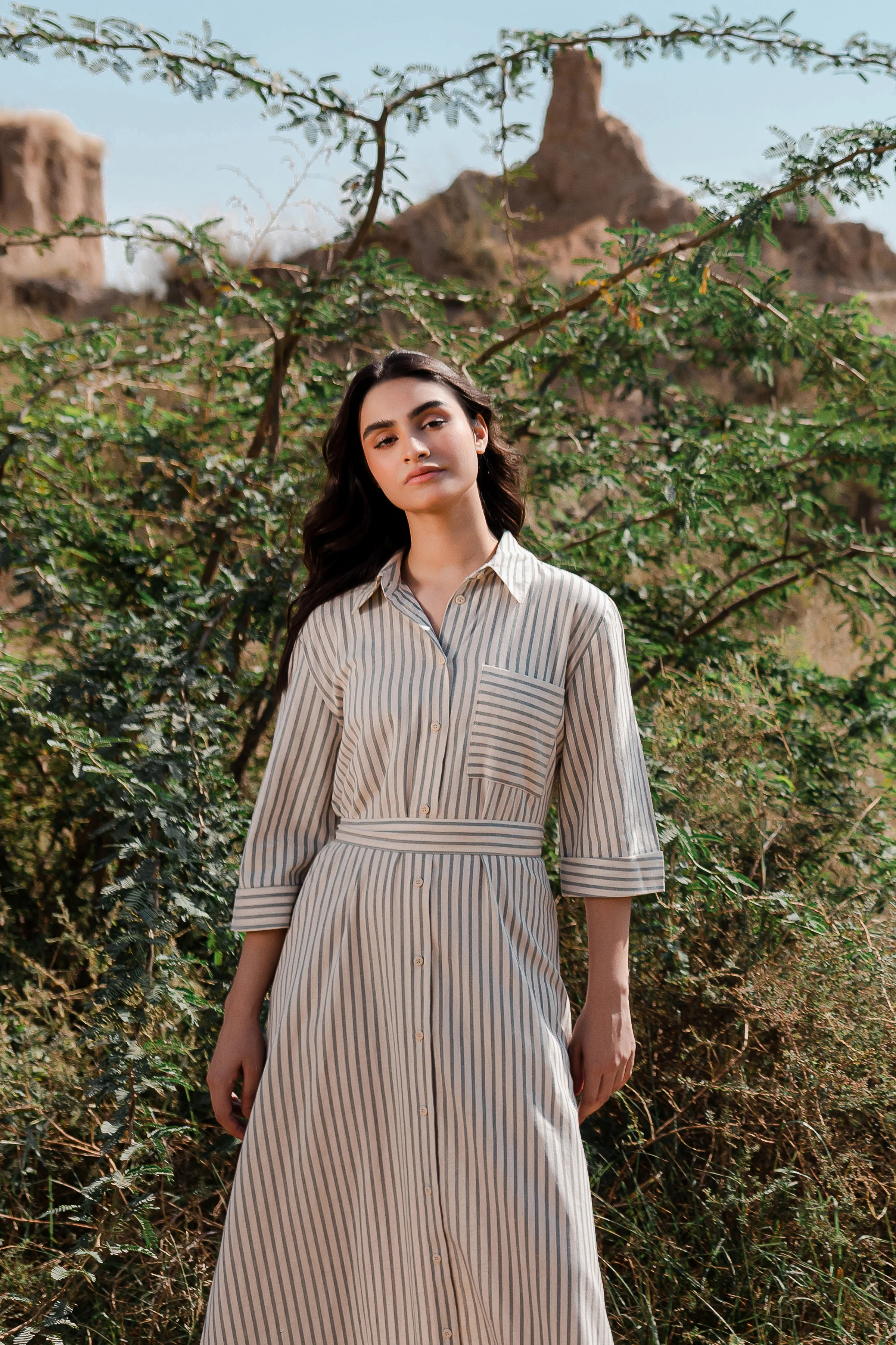 Greige Blue Stripes Button Down Dress - 1Pc - Image 4