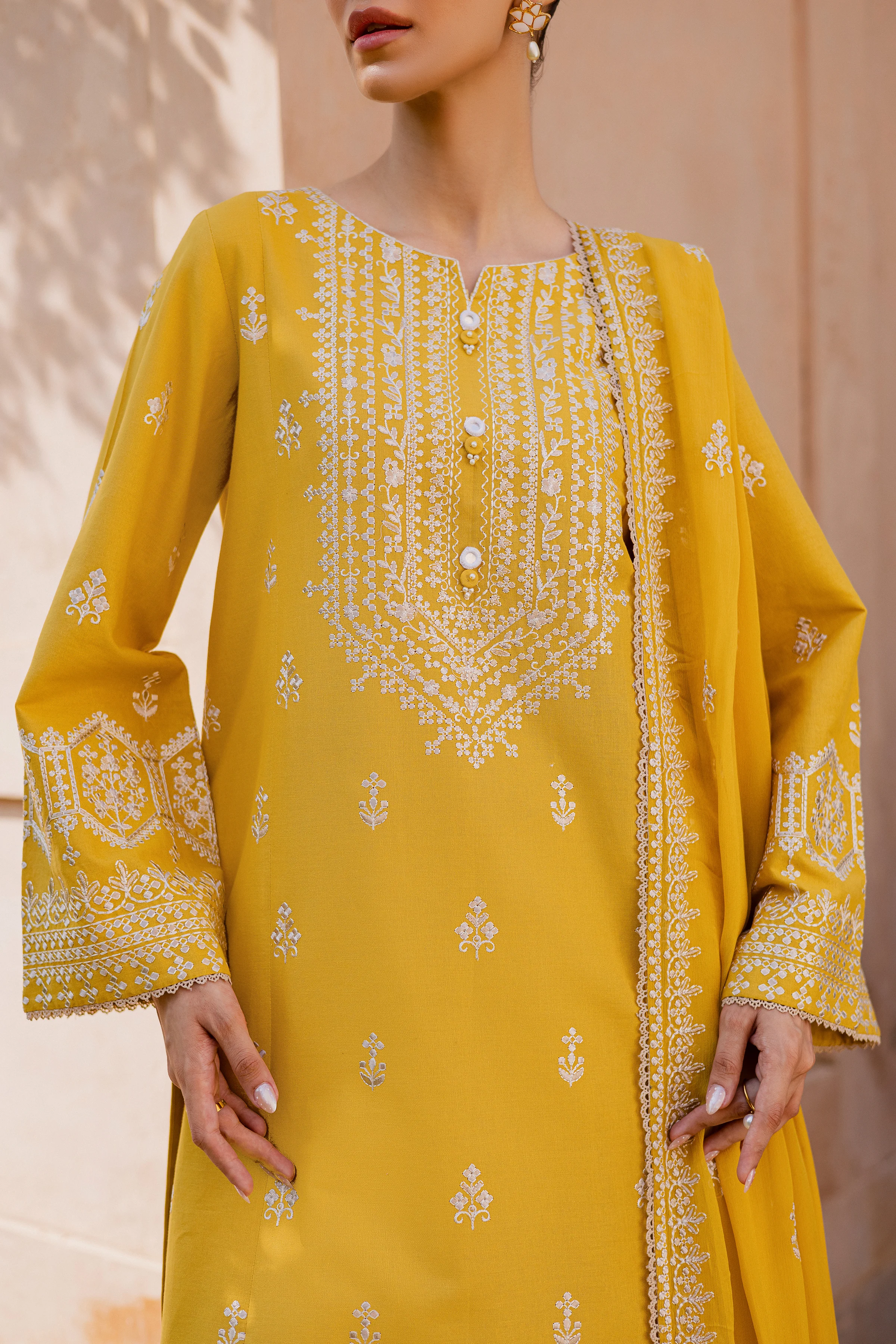 Lambo 3Pc - Embroidered Khaddar Dress - Image 7
