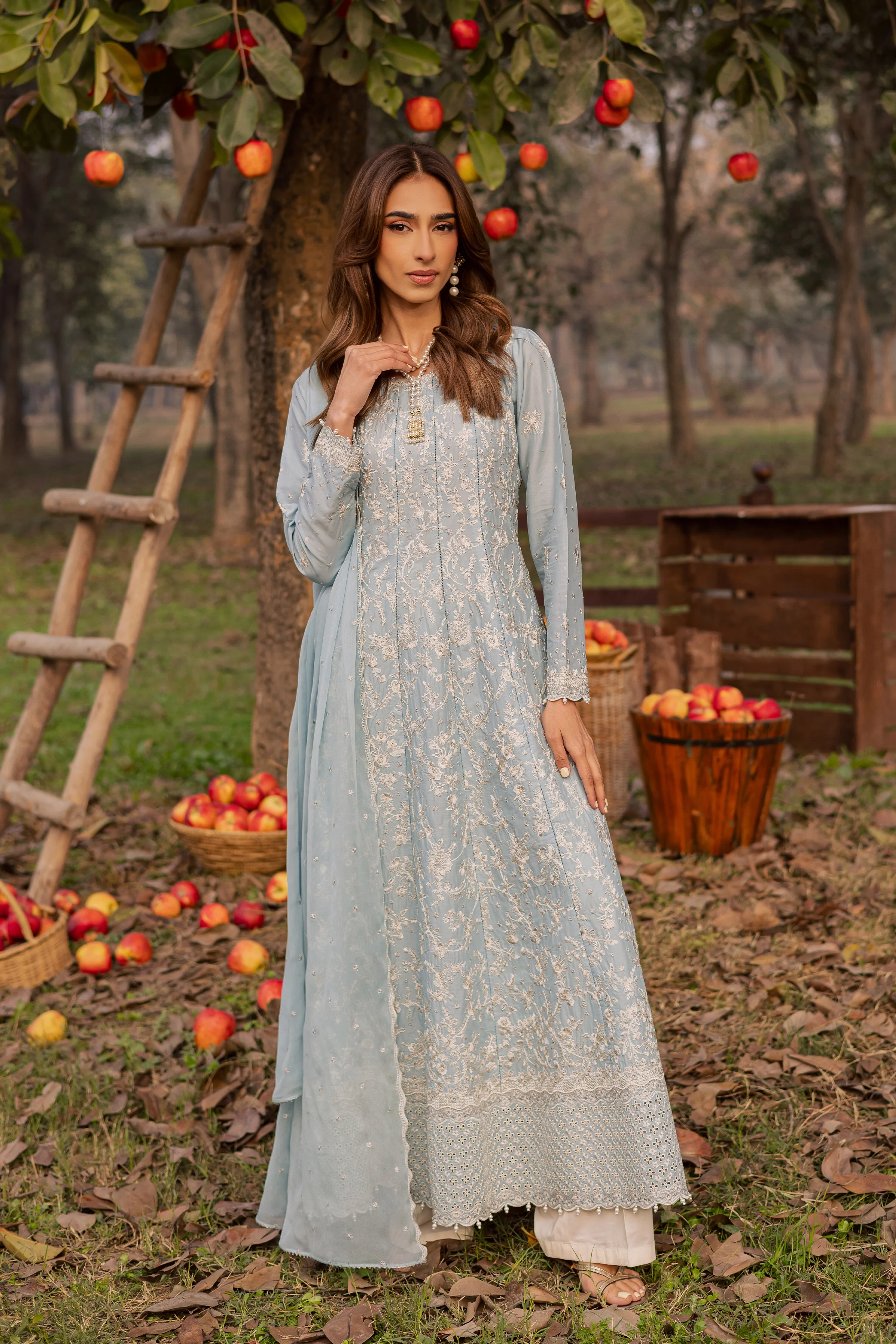 Nur Ray 3Pc - Festive Embroidered Lawn - Image 5