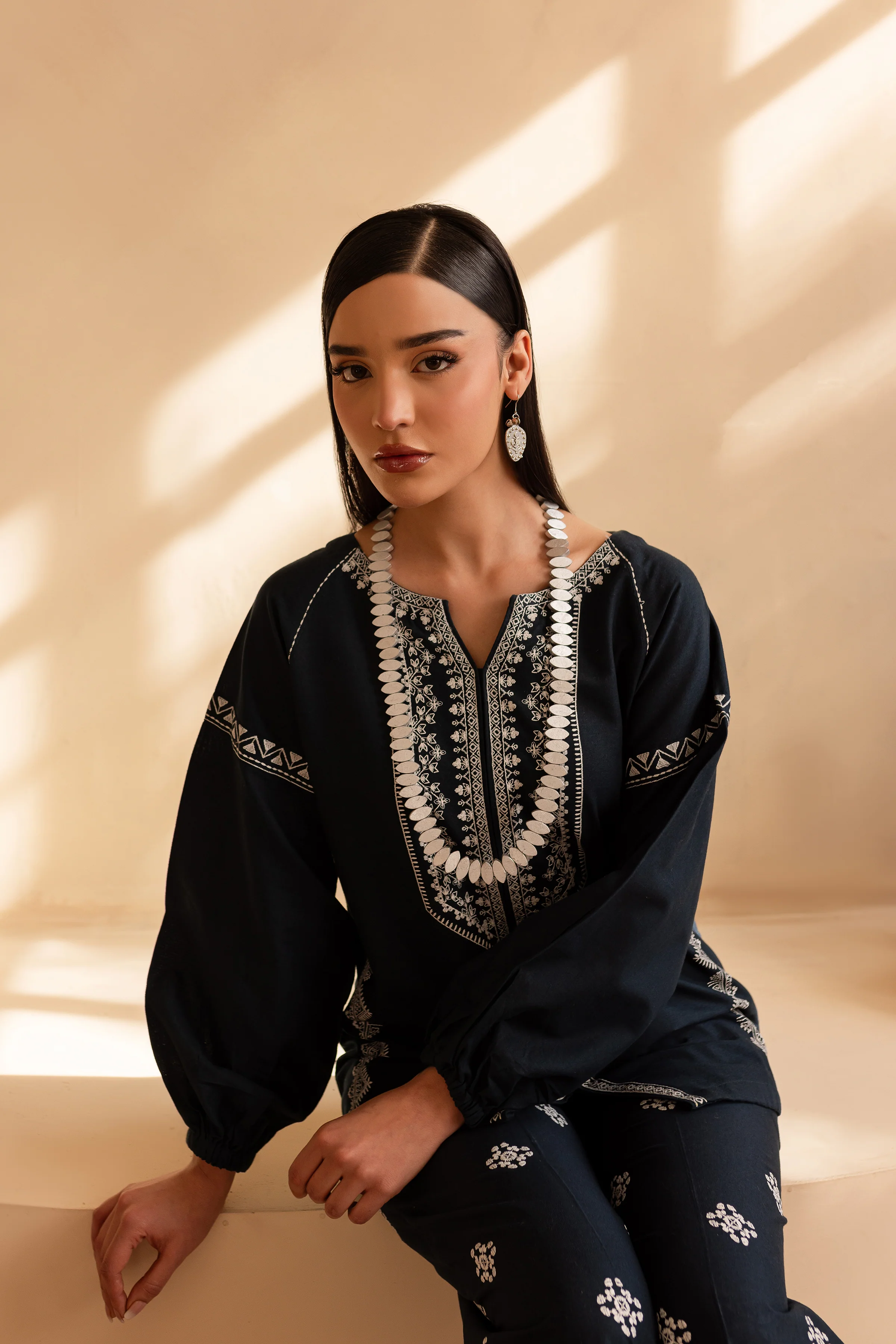 Whist 2Pc - Embroidered Khaddar Dress - Image 4